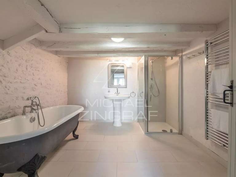 Propriété Mauzens-et-Miremont - 12 chambres - 1800m²