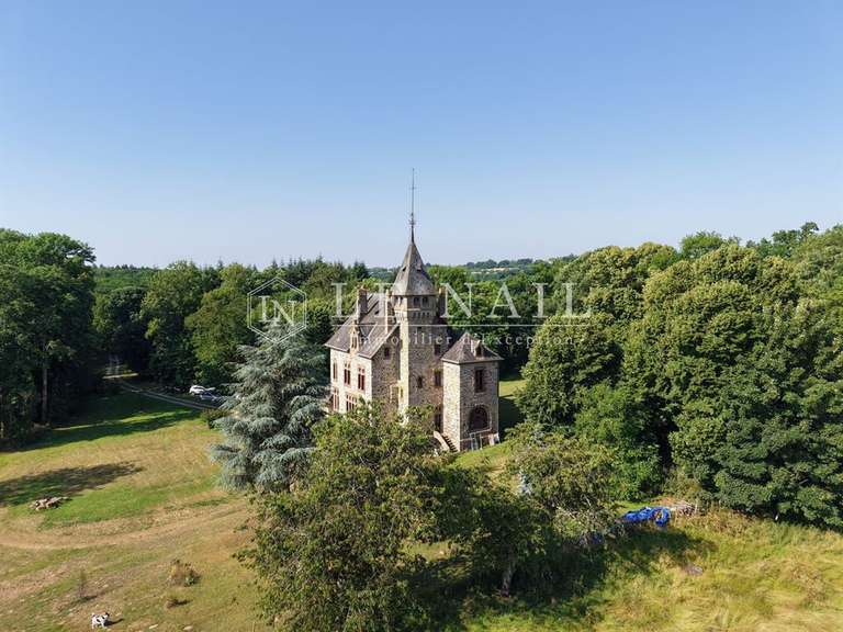Château Mayenne - 7 chambres - 480m²