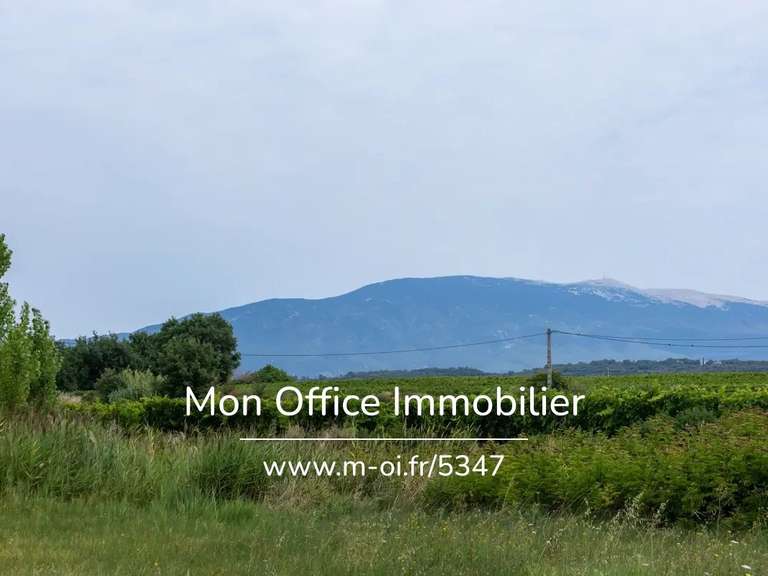 Maison Mazan - 6 chambres - 354m²