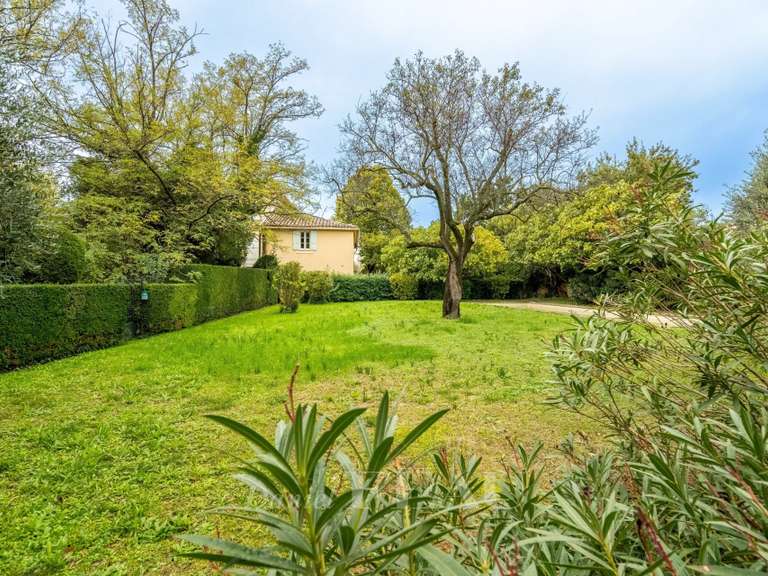 Maison Mazan - 10 chambres - 900m²