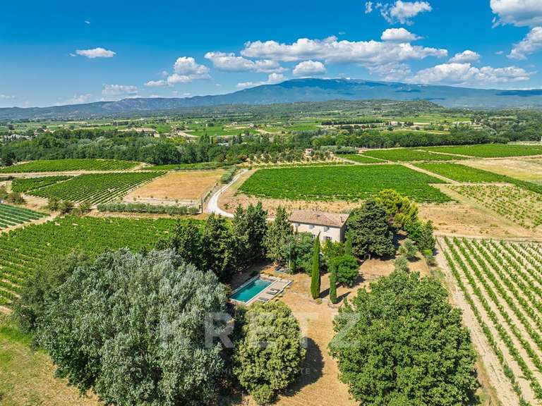 Maison Mazan - 7 chambres - 345m²