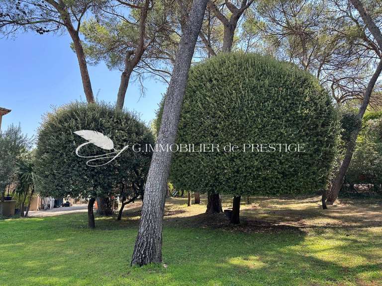 House Mazan - 5 bedrooms - 240m²