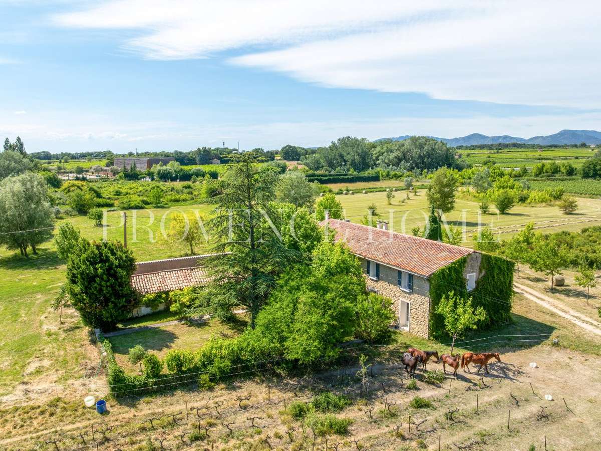 Property Mazan