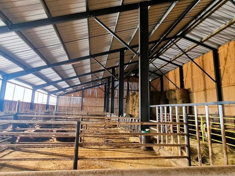 Maison Mazan-l'Abbaye - 400m²