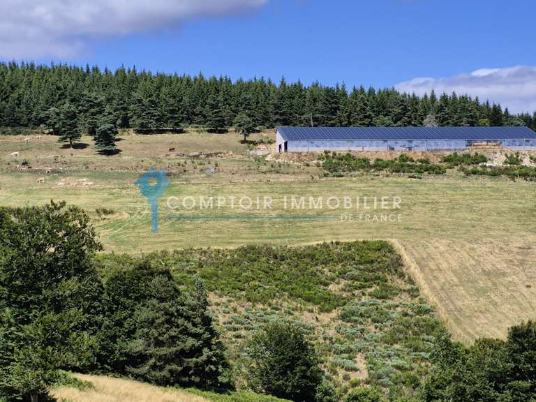 Maison Mazan-l'Abbaye - 6 chambres - 280m²