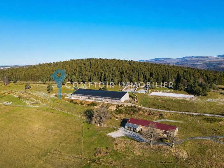 Maison Mazan-l'Abbaye - 6 chambres - 280m²