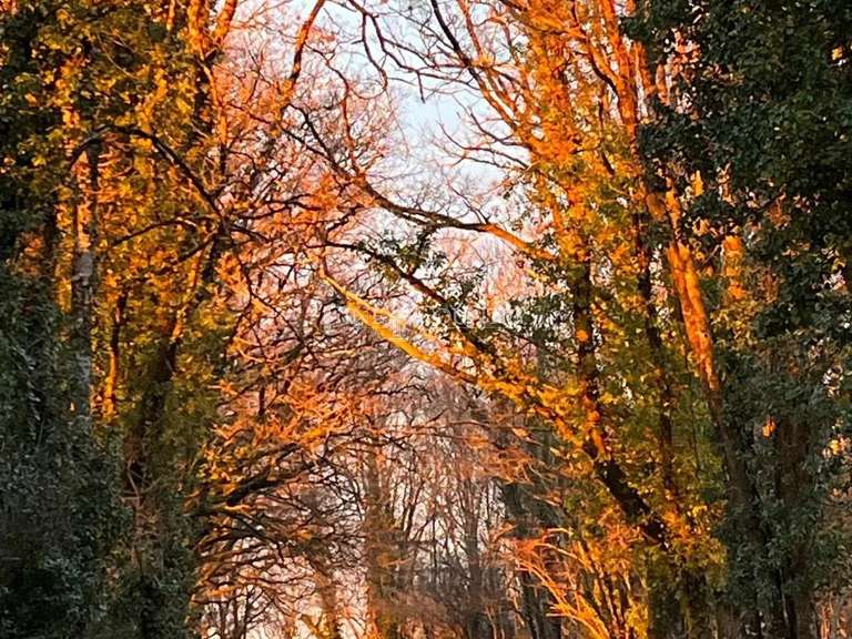 Maison Mazerolles - 6 chambres - 289m²