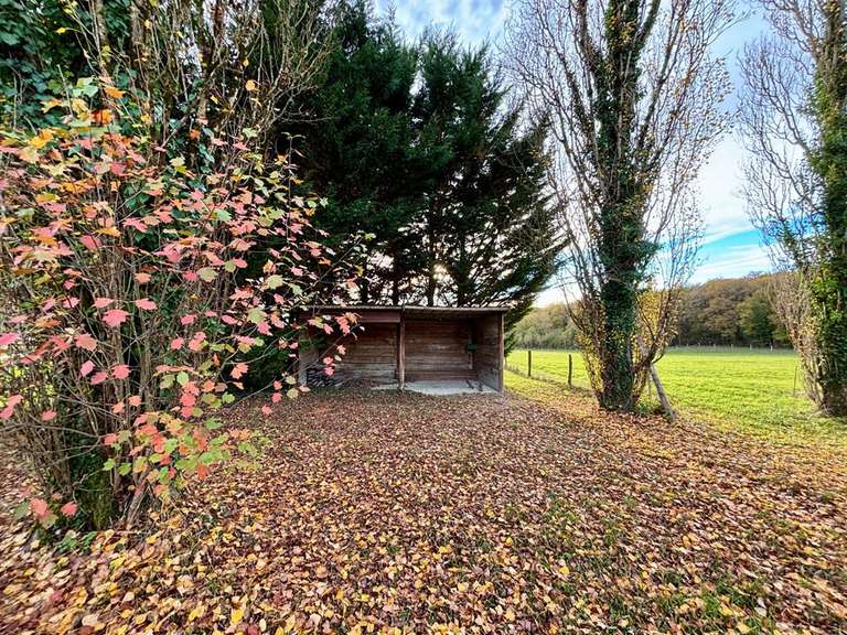 Maison Mazières-de-Touraine - 4 chambres - 210m²