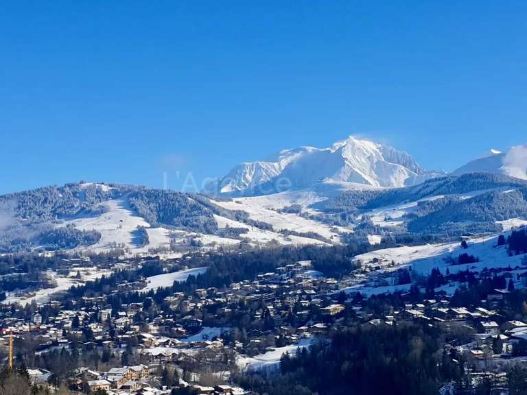 L'AGENCE FIEDLER & ROSNER MEGÈVE Luxury real estate agency in Megève