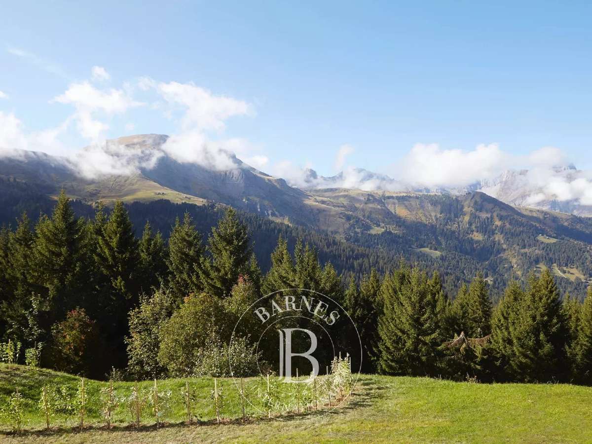 Chalet Megève