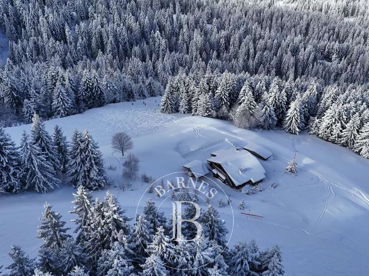 Chalet Megève