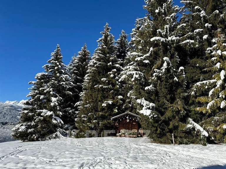 Chalet Mégevette - 7 chambres - 252m²