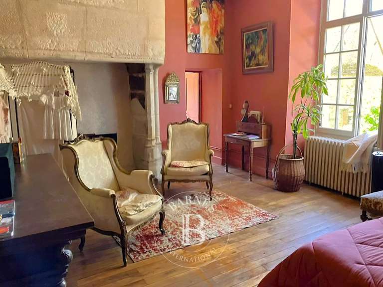 Hôtel particulier Mehun-sur-Yèvre - 400m²