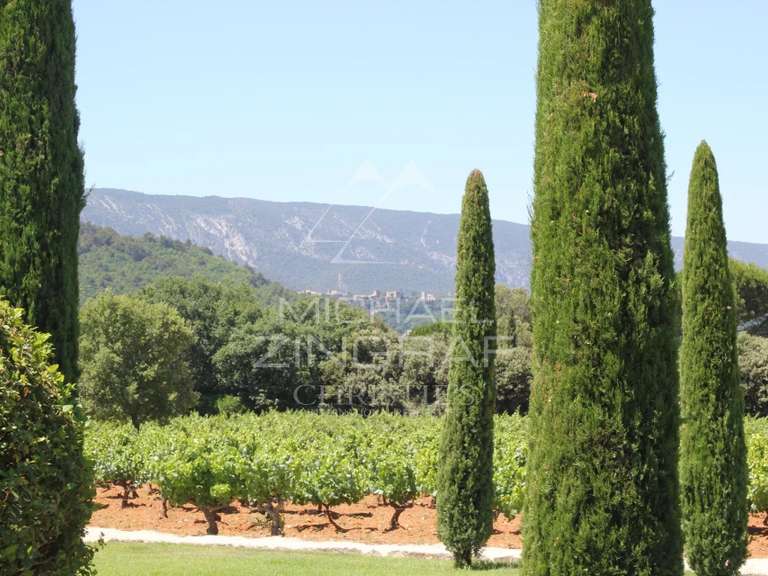 Maison Ménerbes - 6 chambres - 300m²