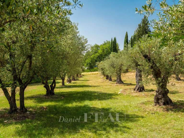 Maison Ménerbes - 7 chambres - 700m²
