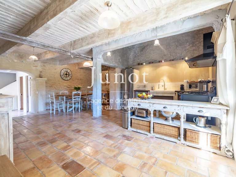 Maison Ménerbes - 4 chambres - 1000m²