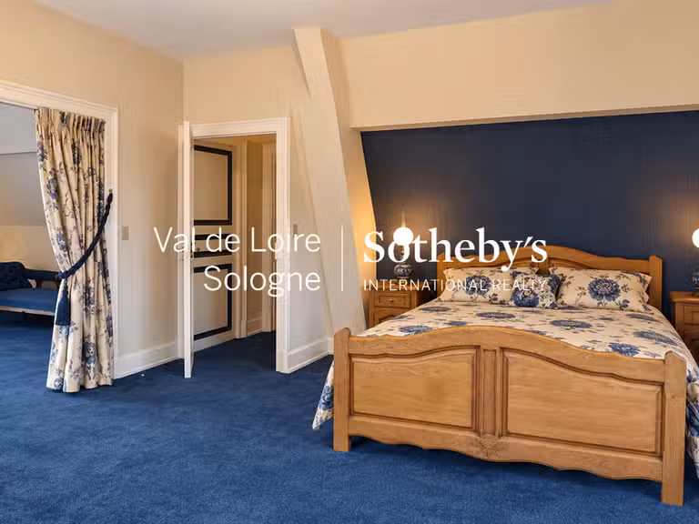 Manoir Mennetou-sur-Cher - 5 chambres - 356m²