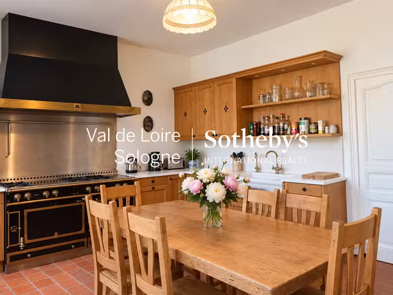 Manoir Mennetou-sur-Cher - 5 chambres - 356m²