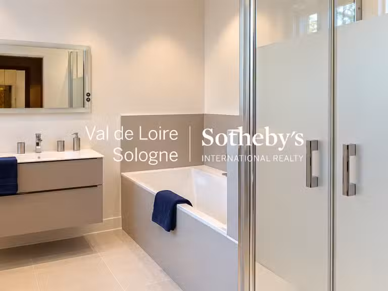 Manoir Mennetou-sur-Cher - 5 chambres - 356m²