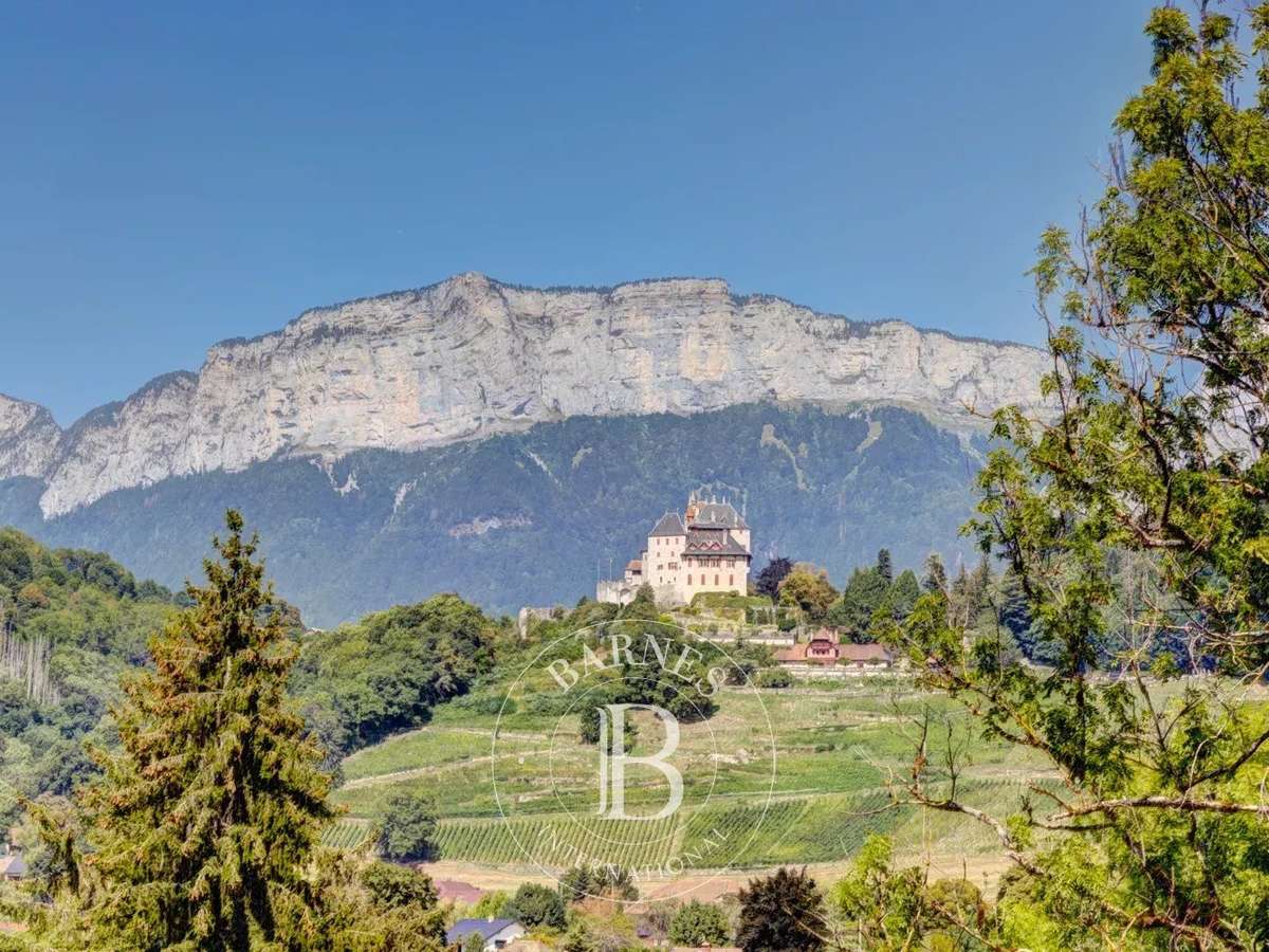 Maison Menthon-Saint-Bernard