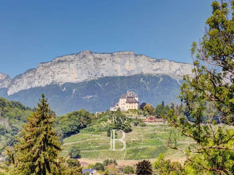 Maison Menthon-Saint-Bernard - 6 chambres - 240m²