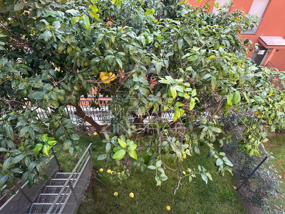 Appartement Menton