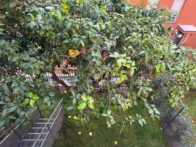 Appartement Menton - 3 chambres - 90m²