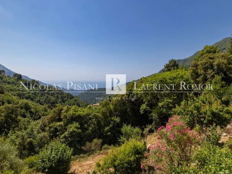 Villa avec Vue sur mer Menton - 4 chambres - 185m²