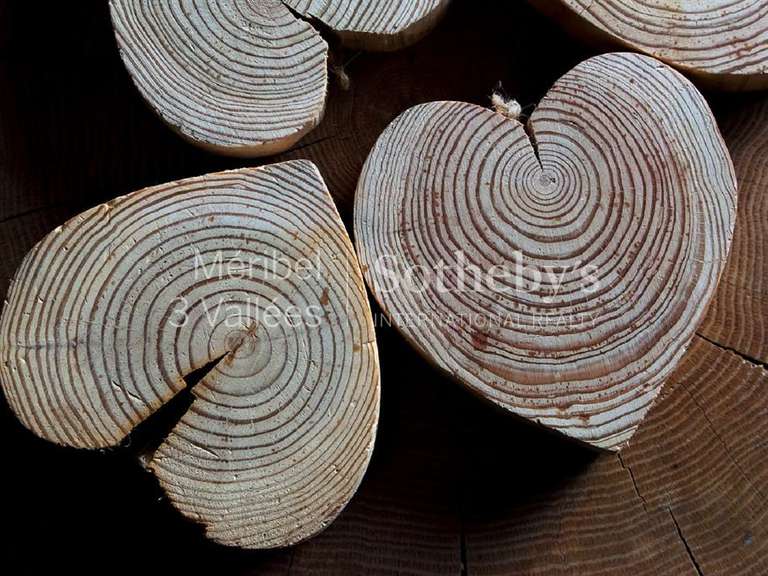 Chalet meribel-les-allues - 650m²