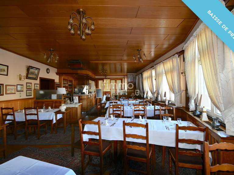 Hôtel particulier Merkwiller-Pechelbronn - 25 chambres - 3300m²