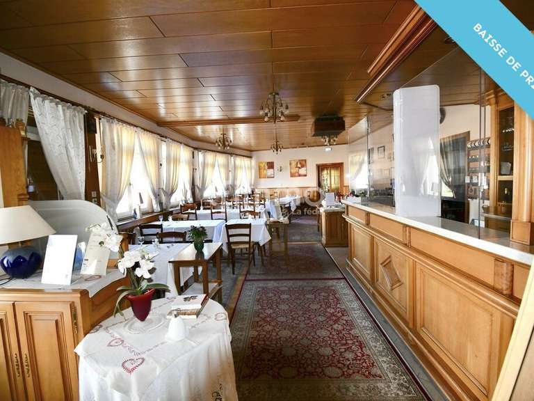 Hôtel particulier Merkwiller-Pechelbronn - 25 chambres - 3300m²