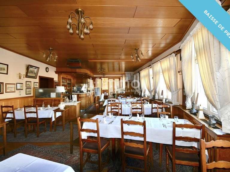 Hôtel particulier Merkwiller-Pechelbronn - 25 chambres - 3300m²