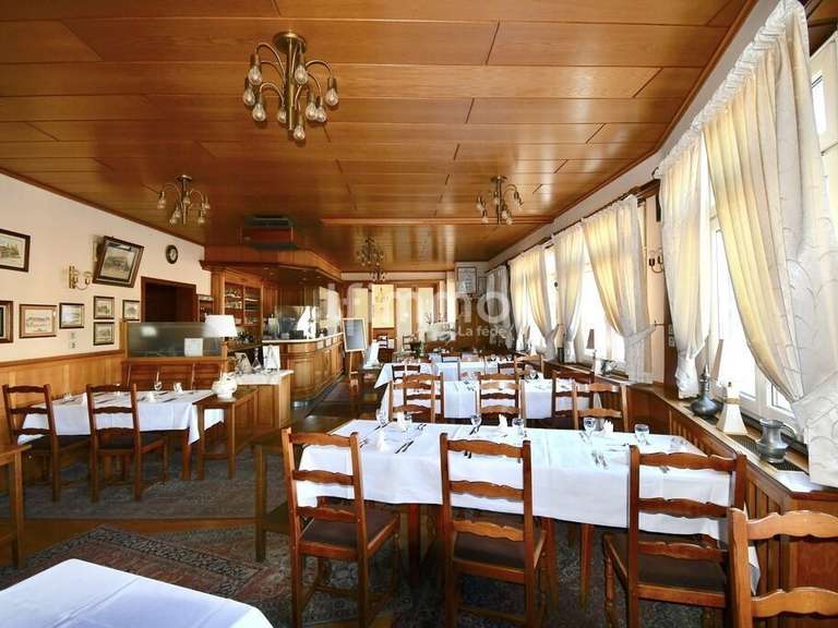 Hôtel particulier Merkwiller-Pechelbronn - 25 chambres - 3300m²