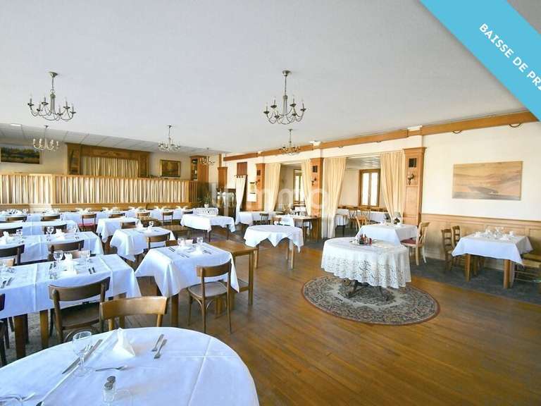 Hôtel particulier Merkwiller-Pechelbronn - 25 chambres - 3300m²