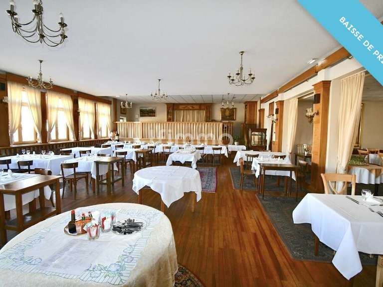 Hôtel particulier Merkwiller-Pechelbronn - 25 chambres - 3300m²