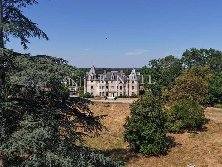 Château Meslay-du-Maine - 13 chambres - 650m²