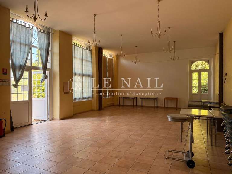 Château Meslay-du-Maine - 13 chambres - 650m²