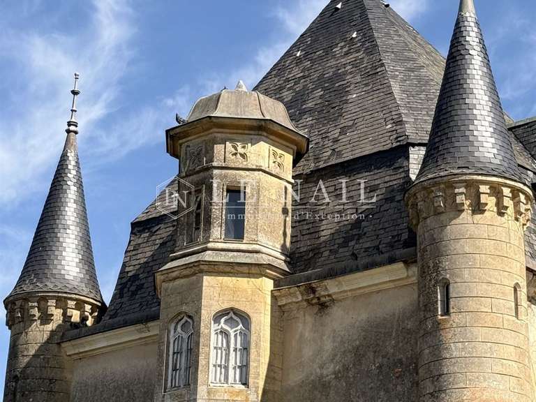 Château Meslay-du-Maine - 13 chambres - 650m²