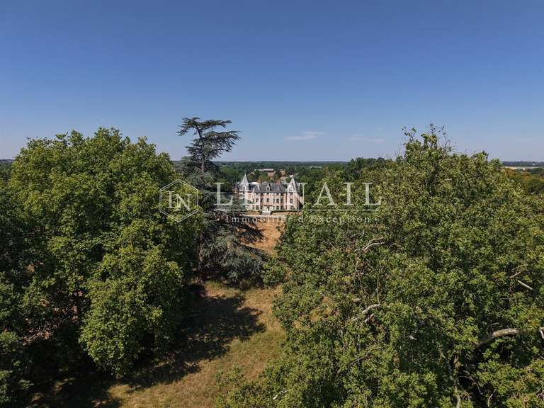 Château Meslay-du-Maine - 13 chambres - 650m²