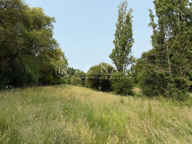 Maison Meslay-du-Maine - 4 chambres - 290m²