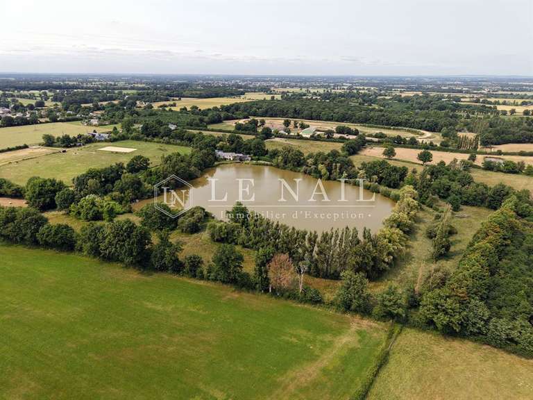 Maison Meslay-du-Maine - 4 chambres - 290m²