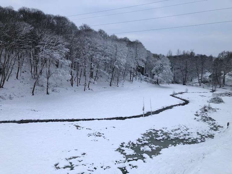 Maison Mesnil-Roc'h - 7 chambres - 292m²