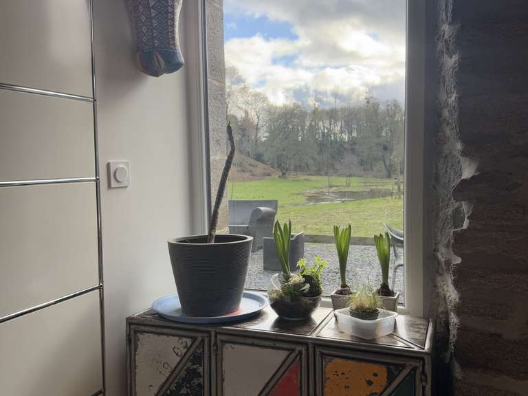 Maison Mesnil-Roc'h - 7 chambres - 292m²