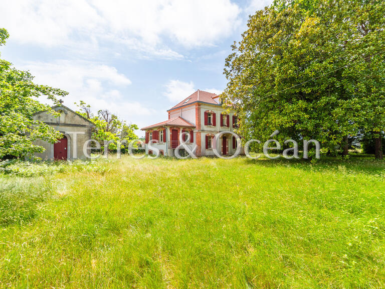Maison Messanges - 7 chambres - 180m²