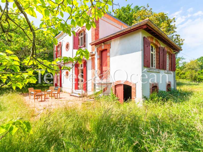 Maison Messanges - 7 chambres - 180m²