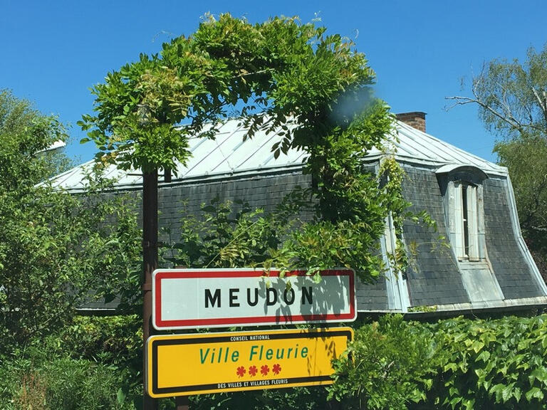Vente Maison Meudon - 7 chambres