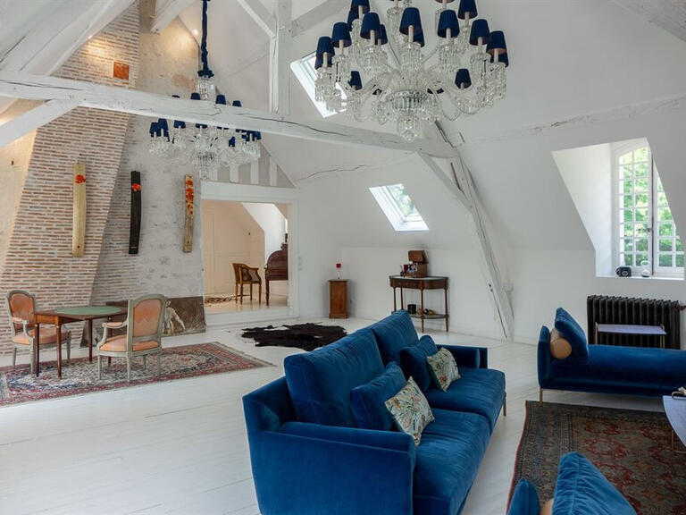 Castle Meung-sur-Loire - 5 bedrooms - 650m²