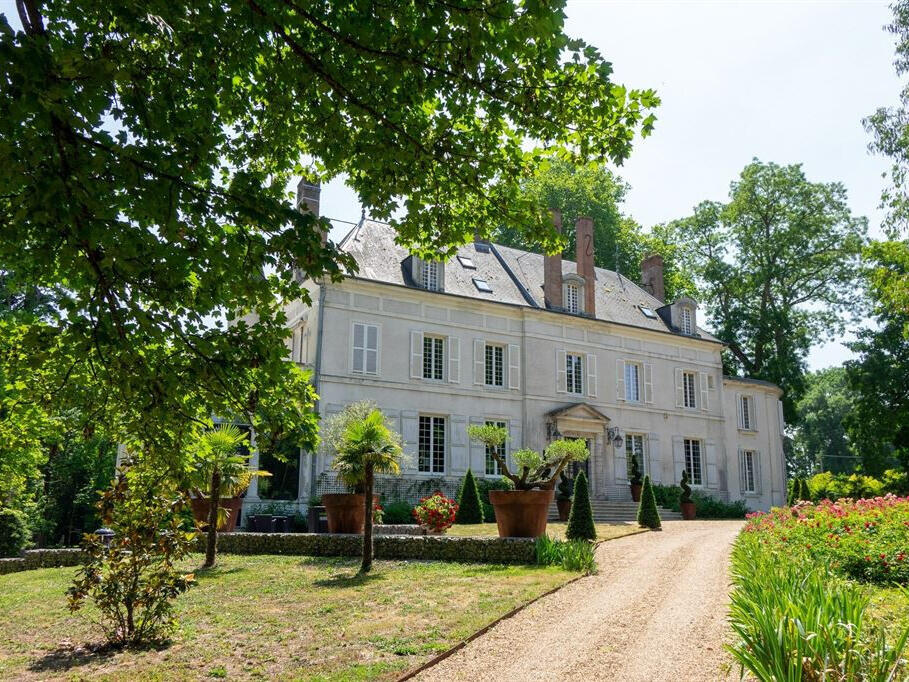 Castle Meung-sur-Loire