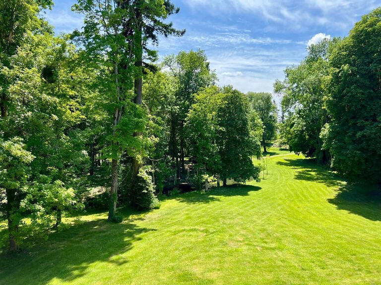 Castle Meung-sur-Loire - 5 bedrooms - 650m²