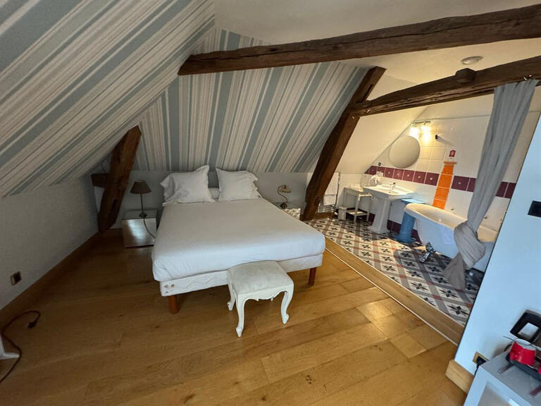 Hôtel particulier Meung-sur-Loire - 15 chambres - 1000m²